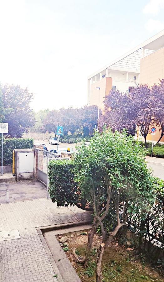 Maison Careggi Florenz Exterior foto